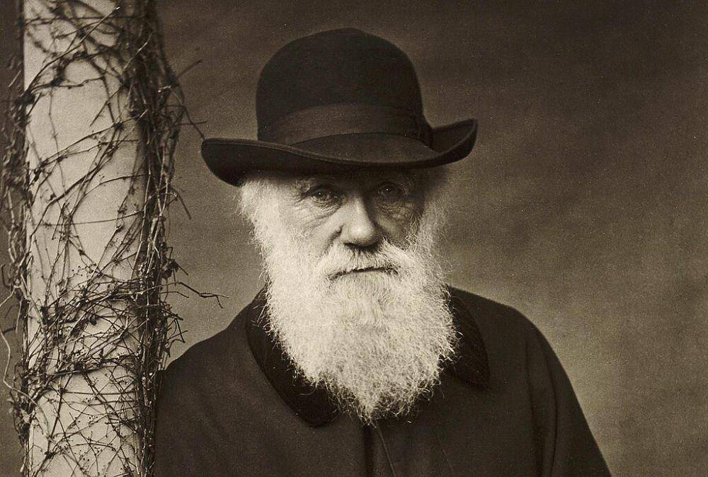 Potret Charles Darwin penemu teori evolusi (commons.wikimedia.org/Elliott and Fry)