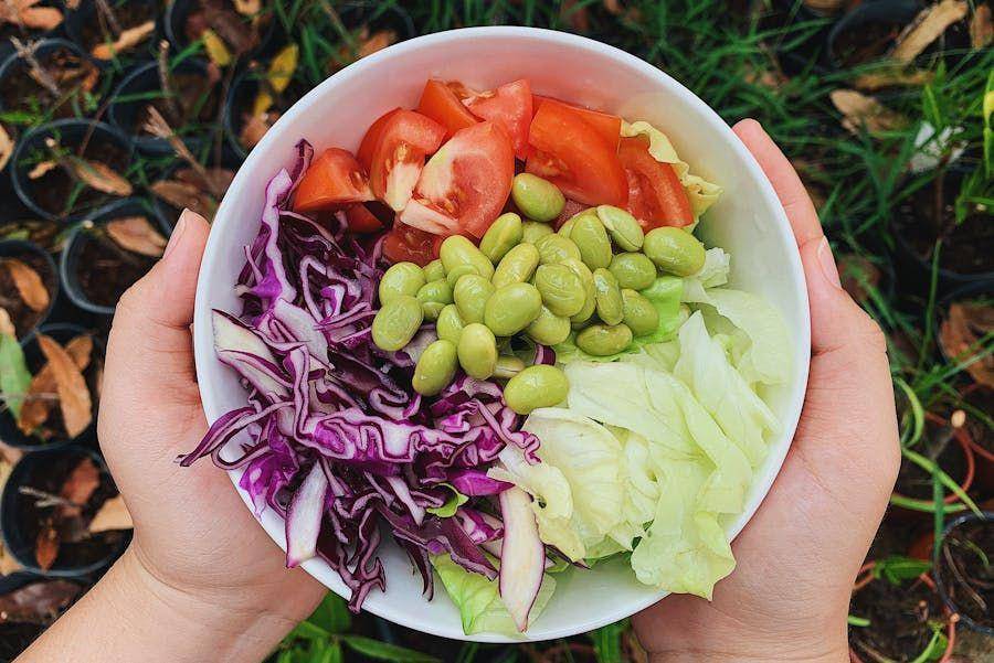 Apa Itu Diet Portfolio? Konon Bisa Turunkan Kolesterol