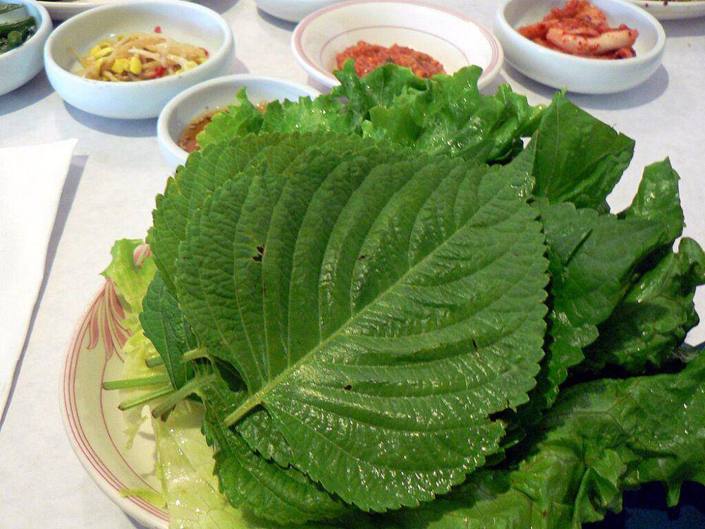 ilustrasi daun perilla (commons.wikimedia.org/stu_spivack)
