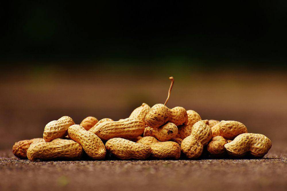 Kacang-kacangan (Pexels.com/Pixabay)