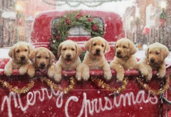 foto lucu geng anjing rayain Natal (reddit.com/The_Love-Tap)