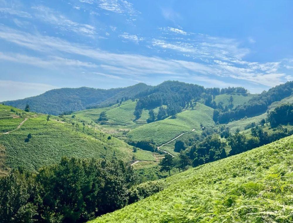 9 Rekomendasi Rute Trekking di Korea dengan Pemandangan Menawan