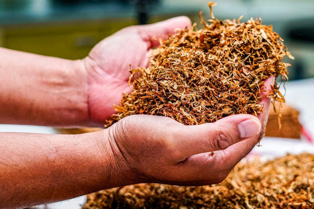 Konsumen Tembakau Tolak Regulasi yang Dianggap Berpihak ke Asing