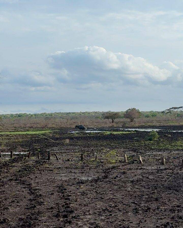 potret taman Baluran (instagram.com/debisagita)
