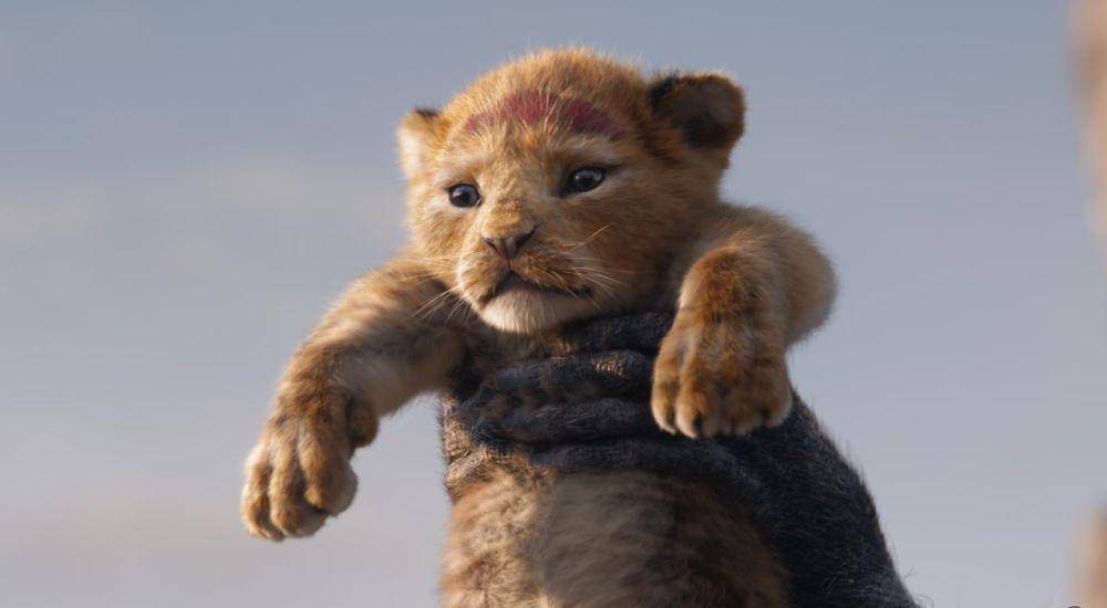Cuplikan film The Lion King (2019) (dok. Walt disney pictures/ The Lion King