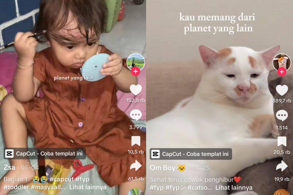 lagu viral Tiktok 2024 (tiktok.com/rezsadesi | tiktok.com/omboyfamily)