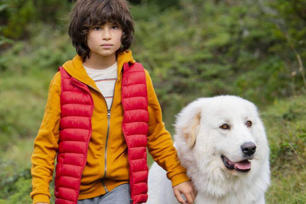 5 Film Prancis tentang Petualangan Anak di KlikFilm untuk Libur Nataru
