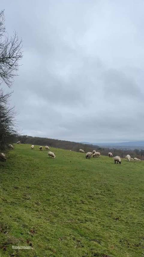 potret Cotswolds (instagram.com/nanamirdad_)