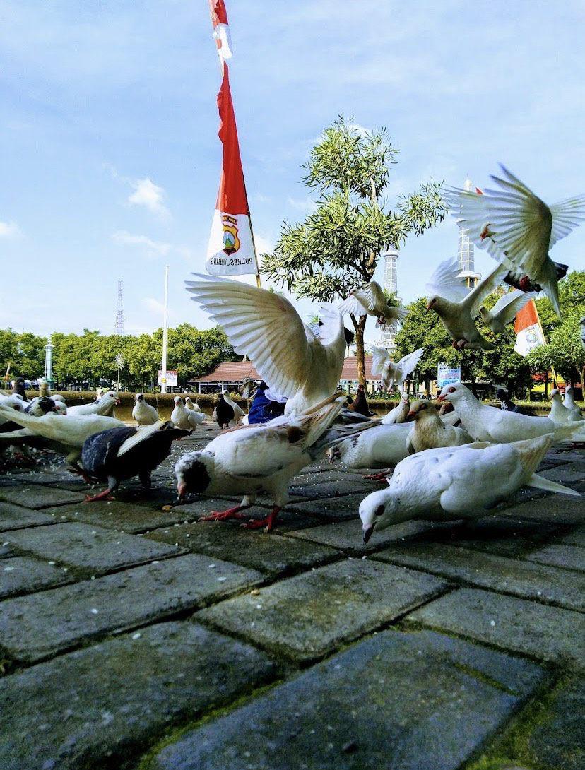 5 Destinasi Wisata Gratis di Jombang, Cuma Bayar Biaya Parkir