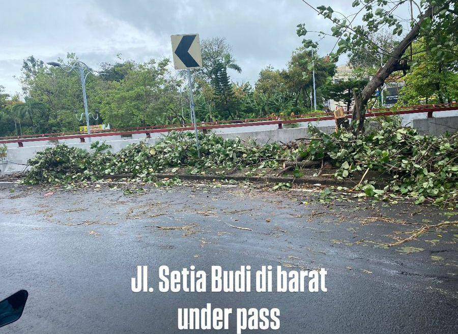 Penanganan pohon tumbang. (Dok. Istimewa)