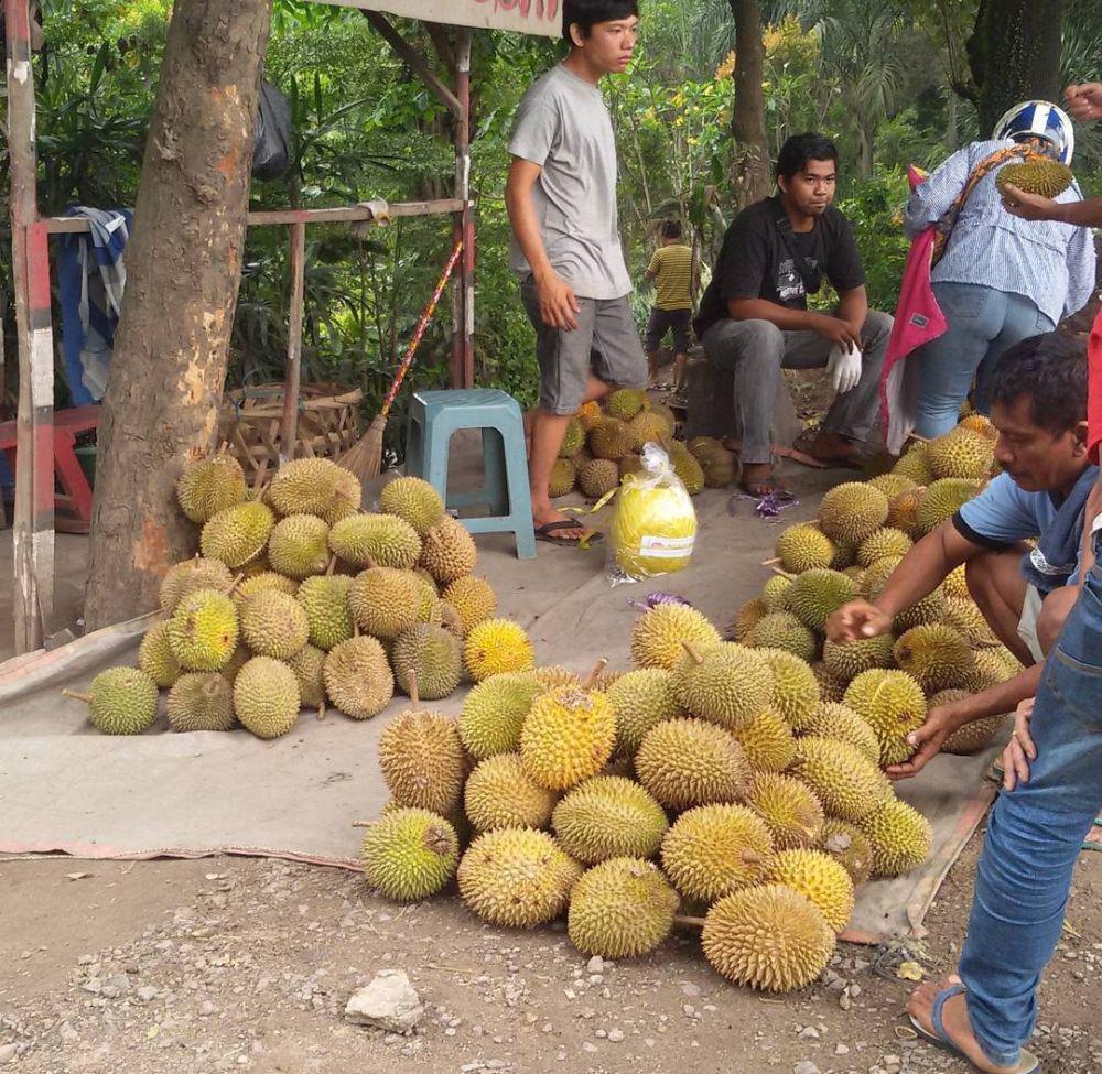 5 Daerah Penghasil Durian Terbesar  di Sumsel, Pecinta Mari Merapat!