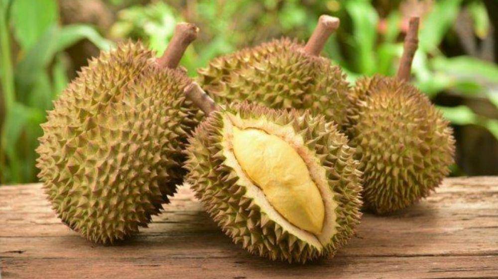 Buah durian. (Dok. Giwang Sumsel)
