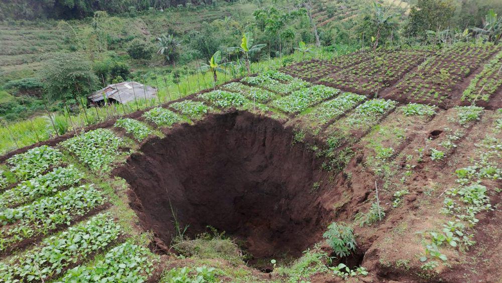 Lubang Berdiameter 7 Meter Tiba-tiba Muncul di Kebun Sawi Warga