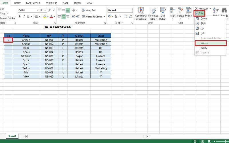 cara membuat nomor urut otomatis di excel (dok. pribadi/Jubaedah Haryani)
