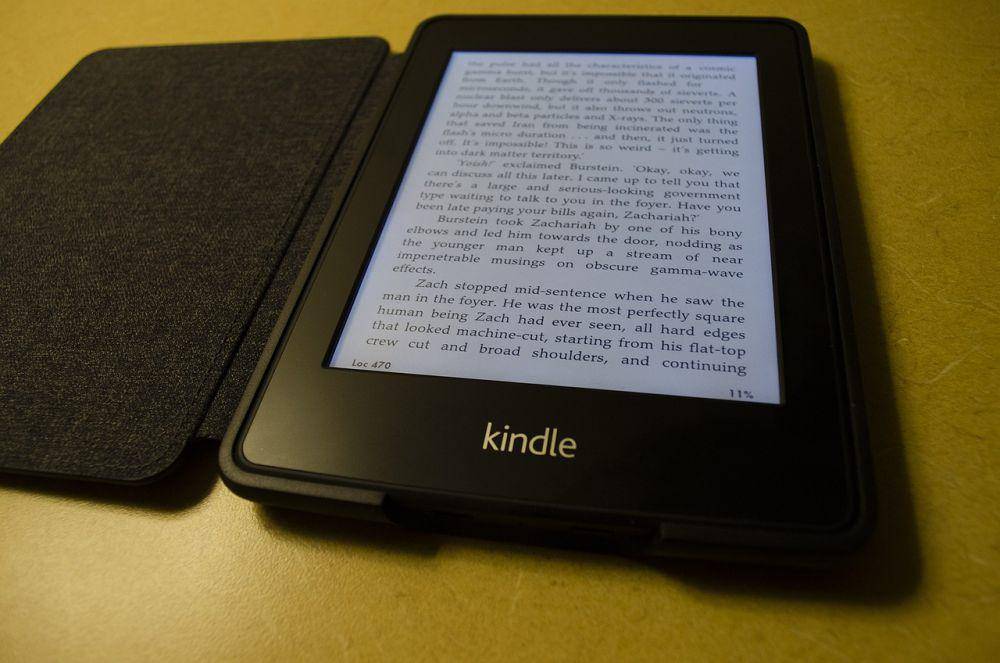 ilustrasi e-reader (pixabay.com/Bruce Emmerling)