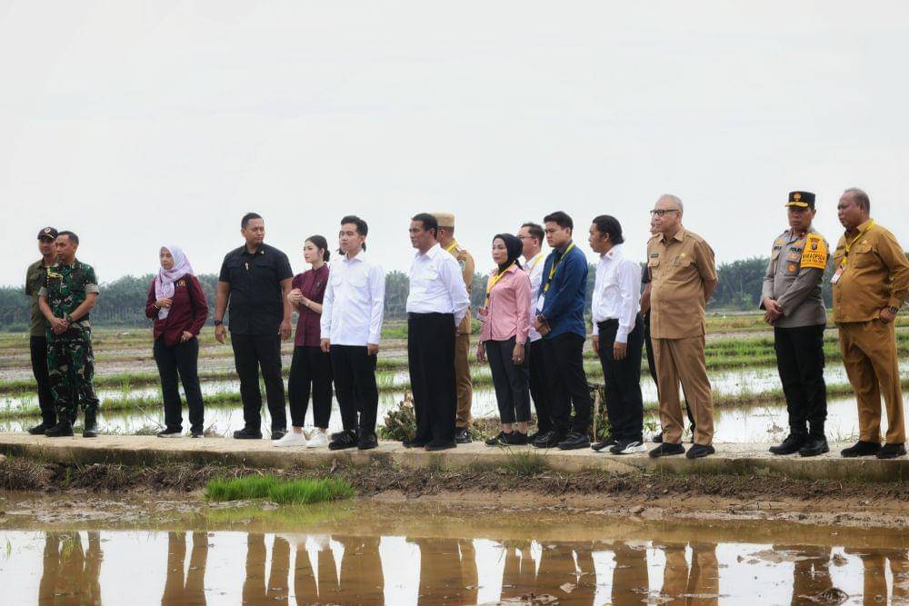 Wapres RI Gibran Rakabumingraka meninjau persawahan Desa Aman Damai, Kecamatan Sirapit, Kabupaten Langkat, Sumatra Utara, Selasa (24/12/2024). (Dok: Diskominfo Sumut)