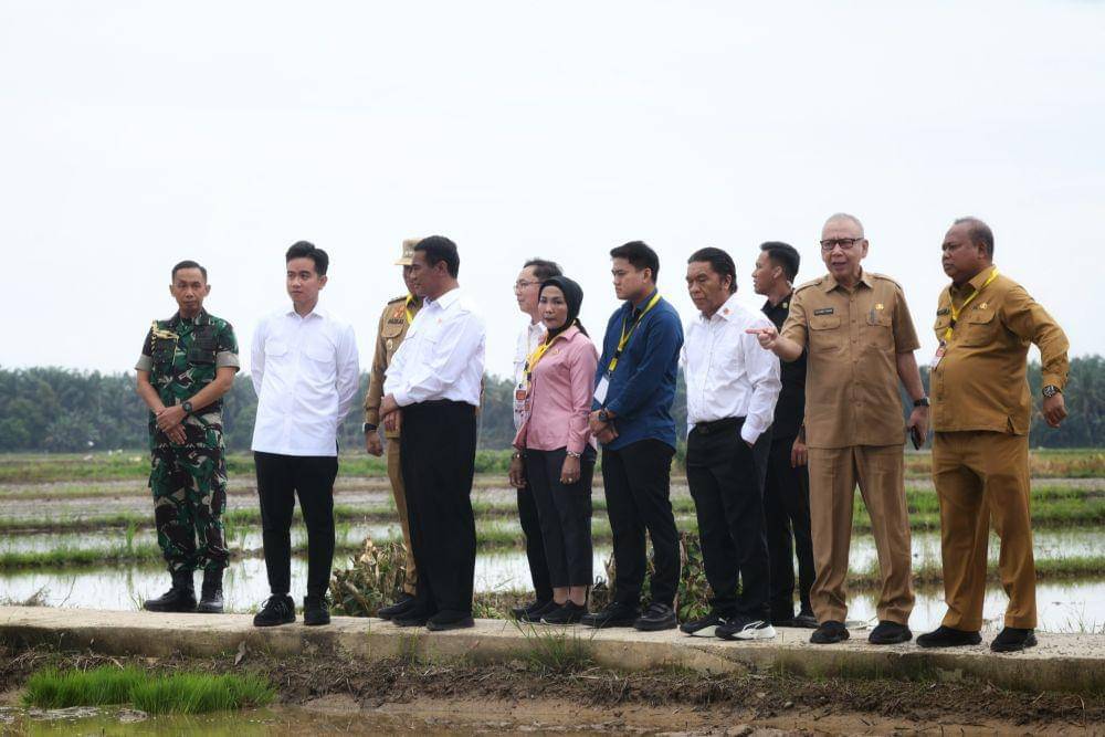 Wapres RI Gibran Rakabumingraka meninjau persawahan Desa Aman Damai, Kecamatan Sirapit, Kabupaten Langkat, Sumatra Utara, Selasa (24/12/2024). (Dok: Diskominfo Sumut)