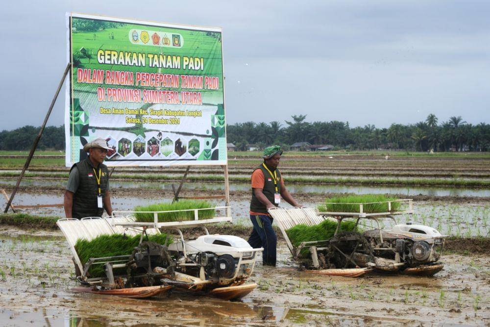 Wapres RI Gibran Rakabumingraka meninjau persawahan Desa Aman Damai, Kecamatan Sirapit, Kabupaten Langkat, Sumatra Utara, Selasa (24/12/2024). (Dok: Diskominfo Sumut)