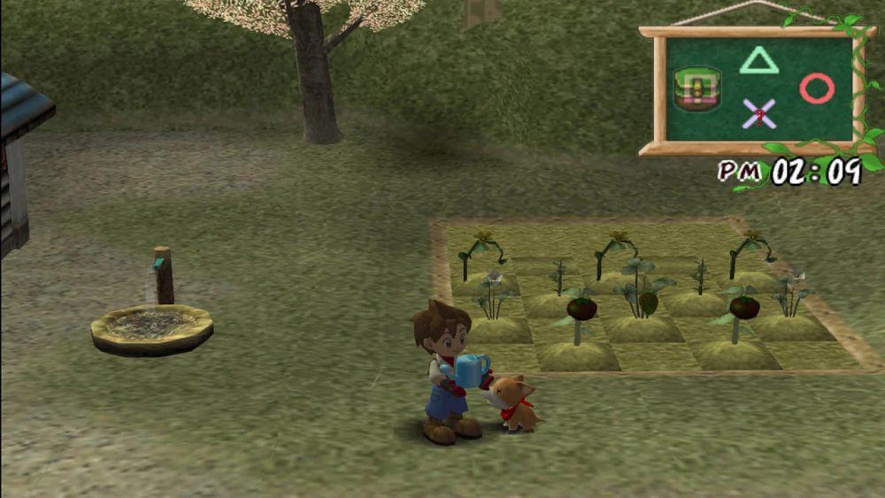 Memahami Gameplay Harvest Moon: A Wonderful Life di PS2