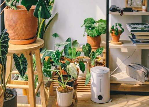 ilustrasi menggunakan humidifier (pexels.com/Huy Phan)