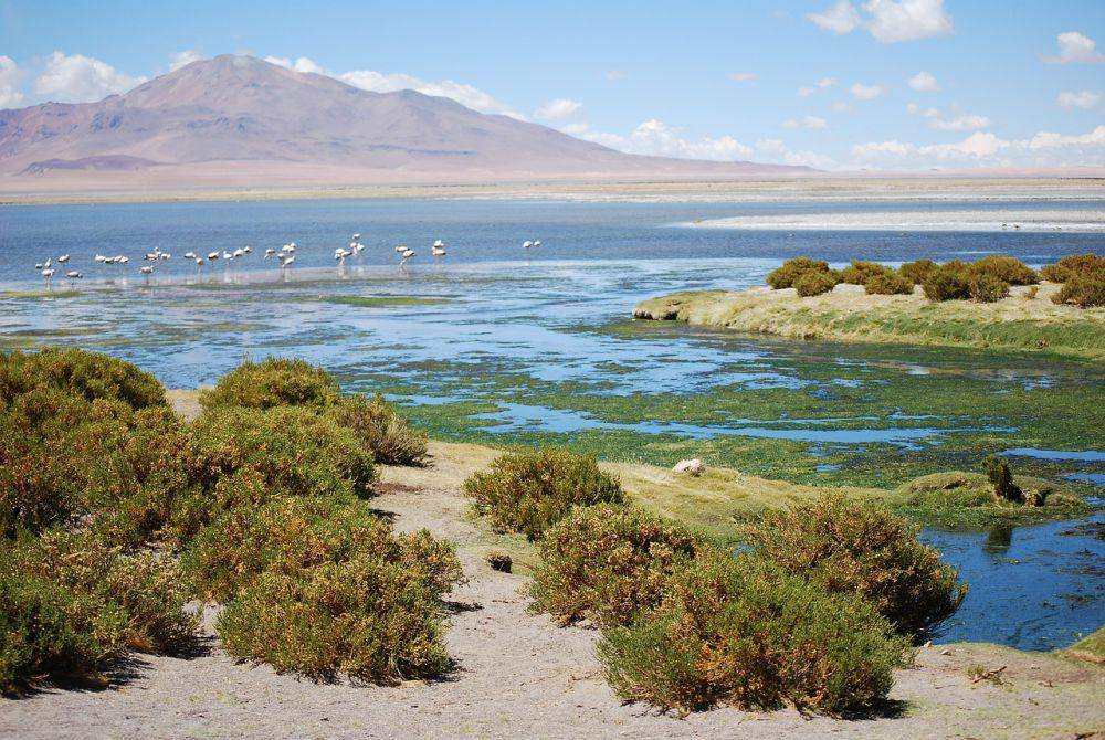 Gurun Atacama (pixabay.com/bodenschatz1511)