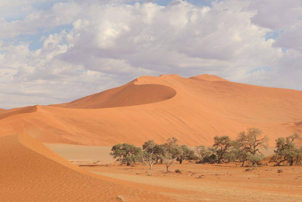 Gurun Namib (pixabay.com/pvdberg)