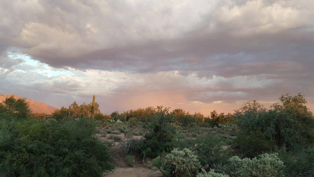 Gurun Sonoran (pixabay.com/icondigital)
