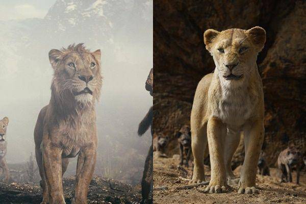silsilah keluarga Mufasa dan Simba (dok. Disney/Mufasa: The Lion King)