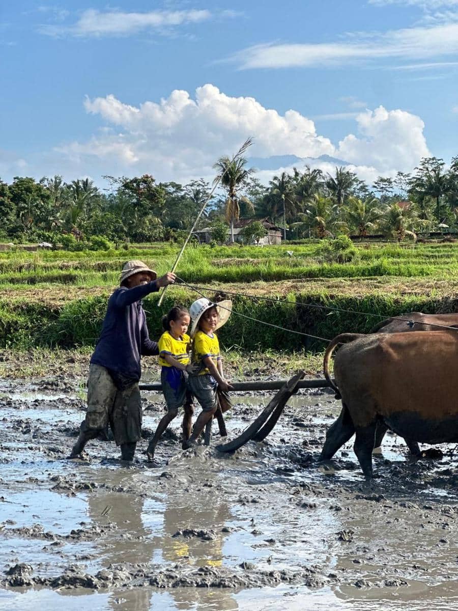 PAUD di Tengah Sawah Tabanan, Murid Diajarkan Tentang Subak