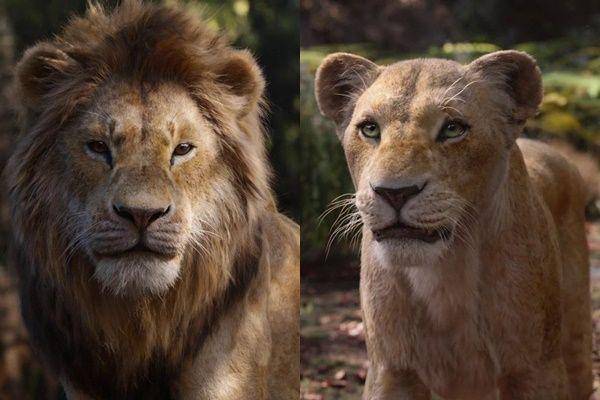 silsilah keluarga Mufasa dan Simba (dok. Disney/The Lion King)