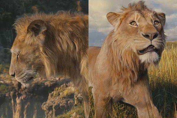 silsilah keluarga Mufasa dan Simba (dok. Disney/Mufasa: The Lion King)