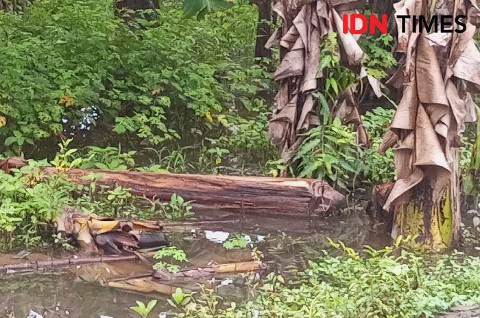 Pohon pisang yang terdapat pelepah kini menjadi nilai ekonomis ditangan mahasiswa STMIK Komputama Majenang, Kamis (26/12/2024).(IDN Times/Cokie Sutrisno)