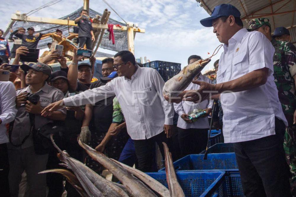 Pemerintah Pastikan Persediaan Ikan Musim Nataru Aman
