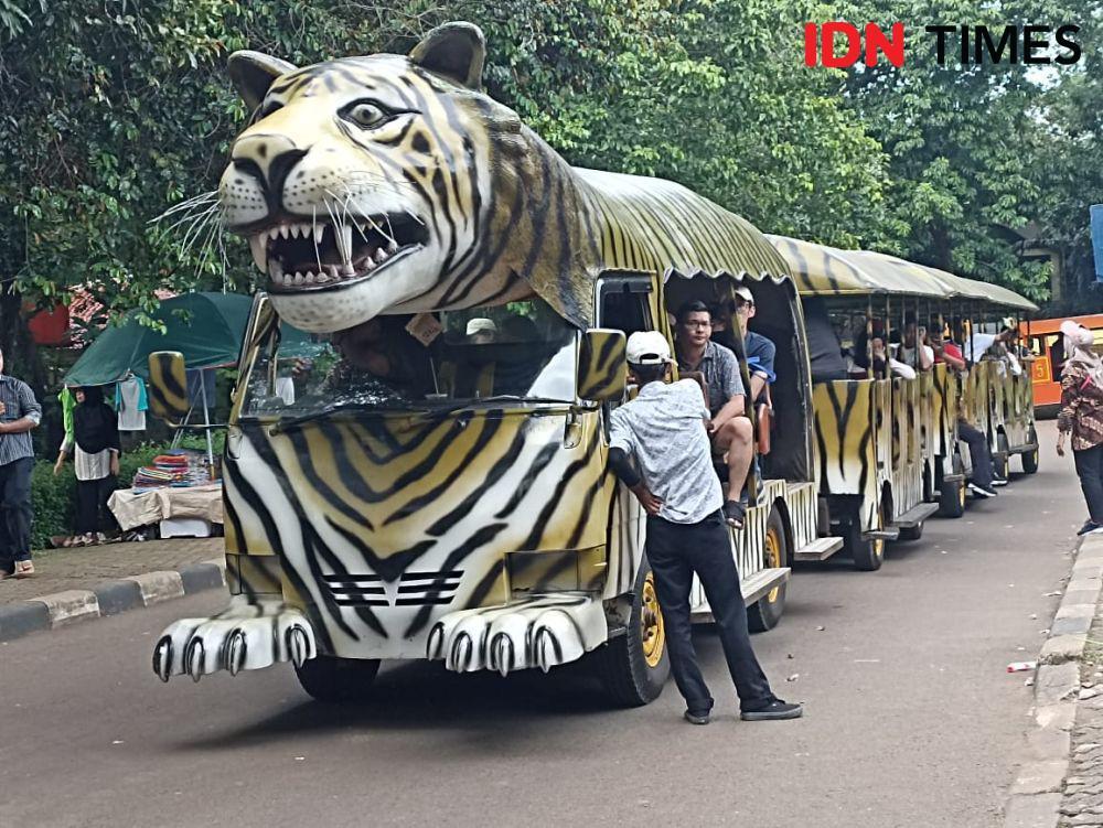 Hujan Selasa Malam, Pengunjung Ragunan Turun saat Libur Imlek