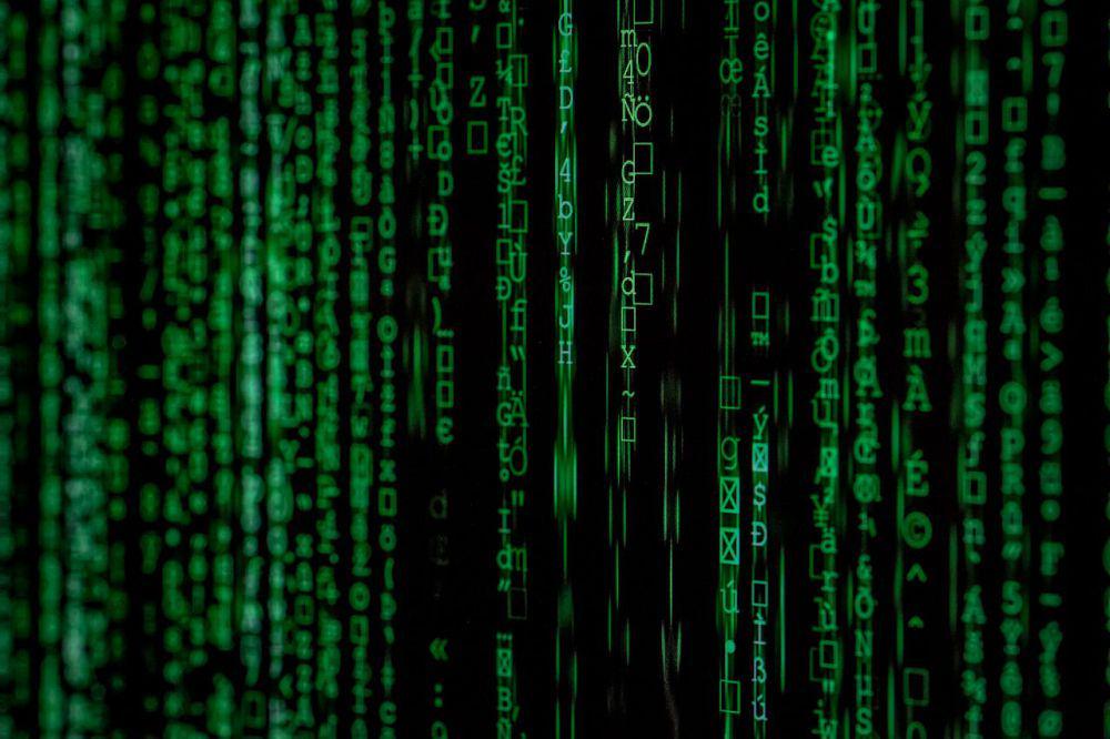 5 Skill Digital yang Wajib Dikuasai Anak Muda, Bikin Karier Melesat