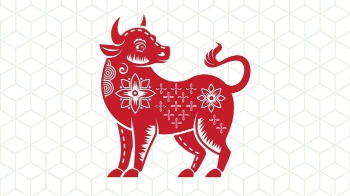 Peruntungan Shio Kerbau setelah Imlek 2025, Banyak Peluang!
