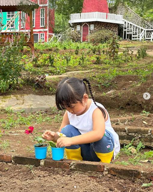 Farmday Bandar Lampung (Instagram/farmday.co)