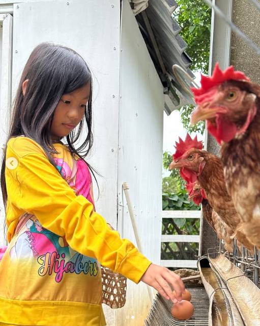 Farmday Bandar Lampung (Instagram/ farmday.co)