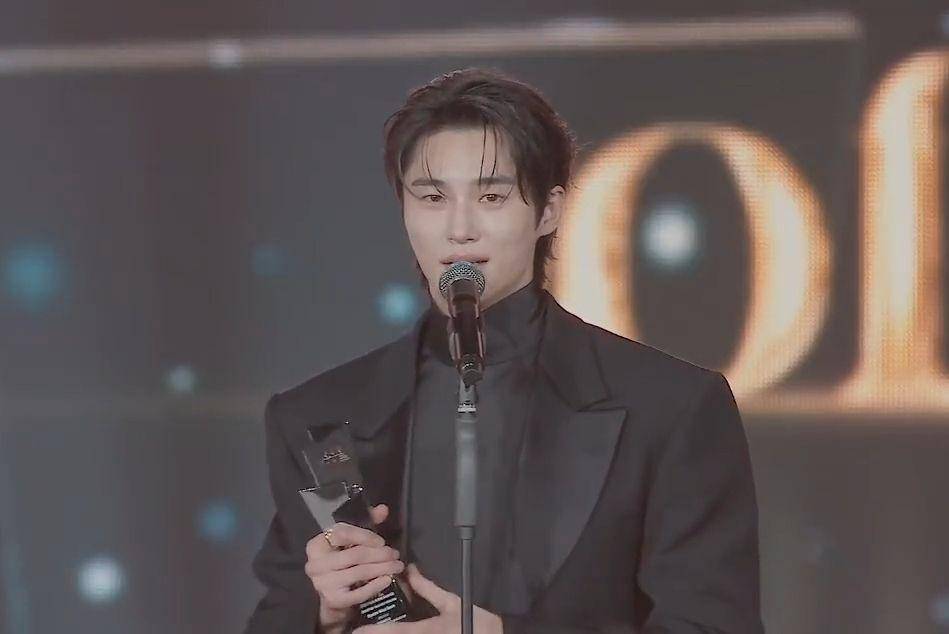 Asia Artist Awards 2024 (dok. Asia Artist Awards)