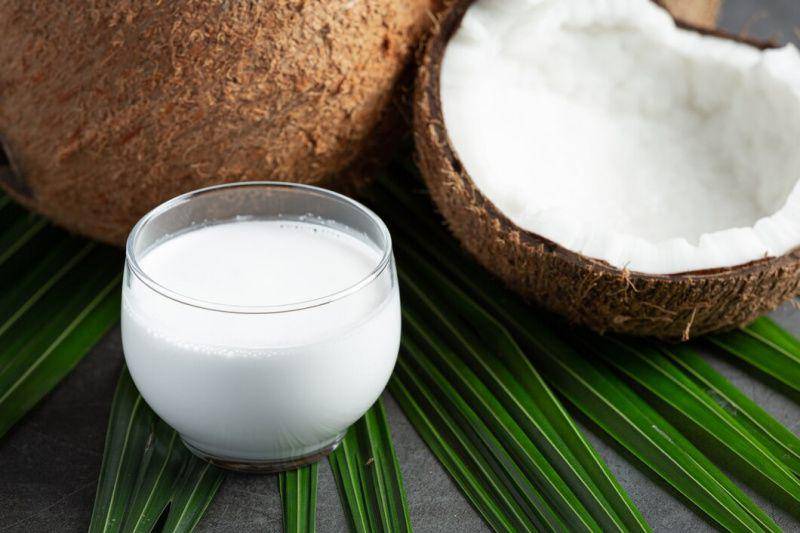 ilustrasi santan kelapa (freepik.com/jcomp)
