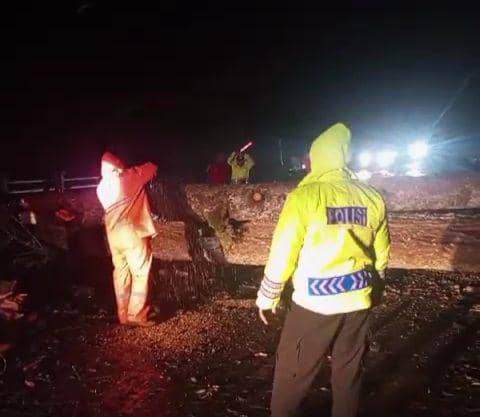 Pohon tumbang timpa mobil dan bangunan rumah warga di Pacalan Magetan. IDN Times/ BPBD Magetan.