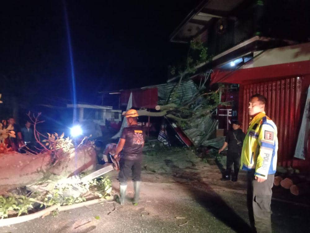 Pohon tumbang timpa mobil dan bangunan rumah warga di Pacalan Magetan. IDN Times/ BPBD Magetan.