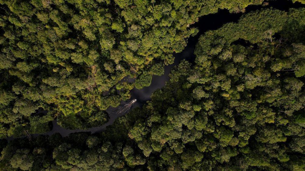 Youth Conservation Award 2025 Ajak Anak Muda Peduli Lingkungan