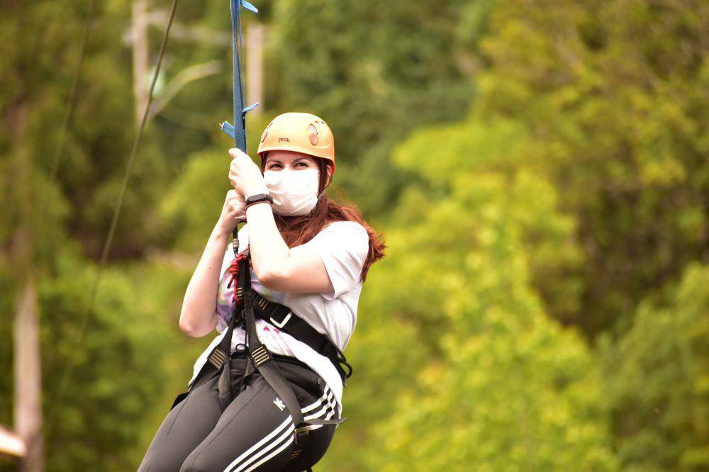 Ilustrasi flying fox. (Pixabay.com/mariimaccarii)