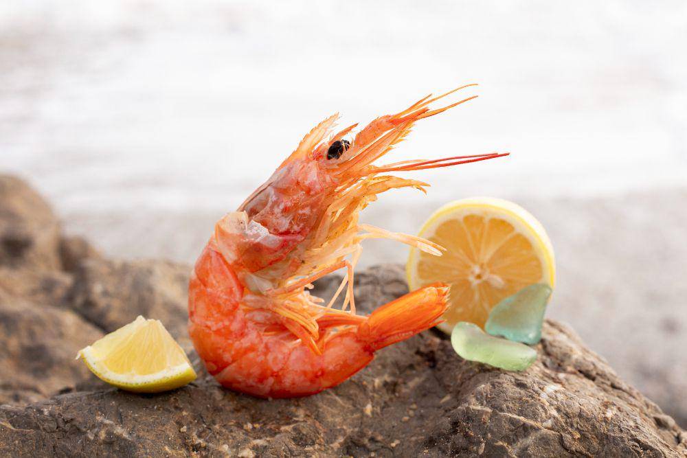 ilustrasi udang (freepik.com/frepik)