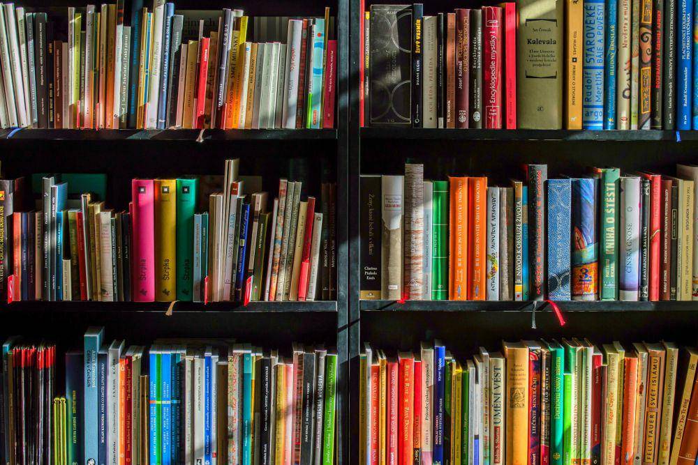 ilustrasi buku-buku tersusun di dalam rak (pexels.com/Pixabay)
