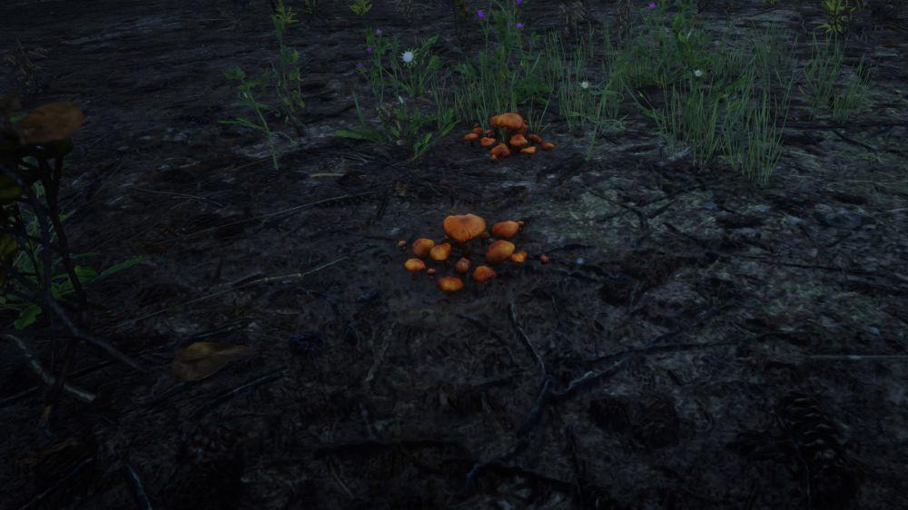 Red Dead Redemption 2: 4 Lokasi Penemuan Jamur