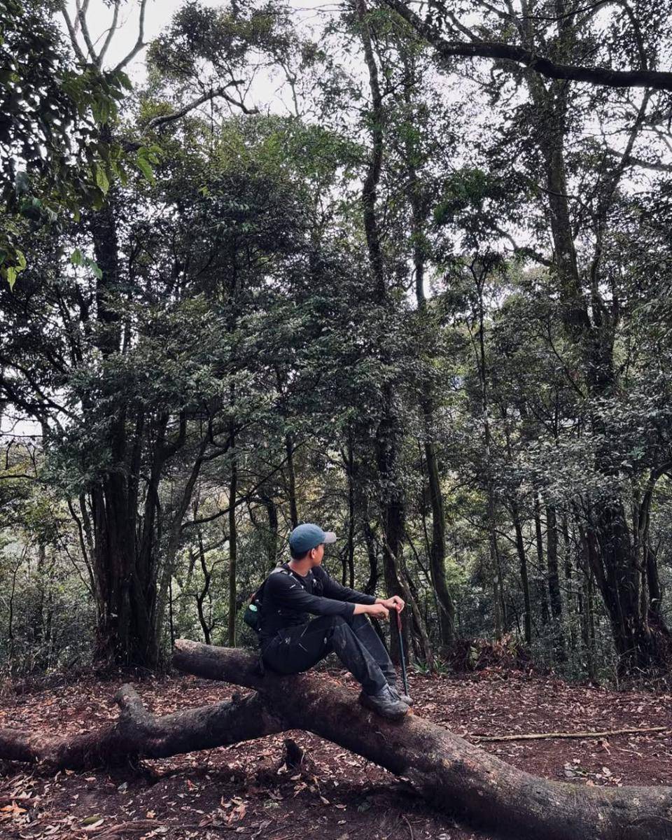 potret hutan Gunung Halimun (instagram.com/yanpaww)