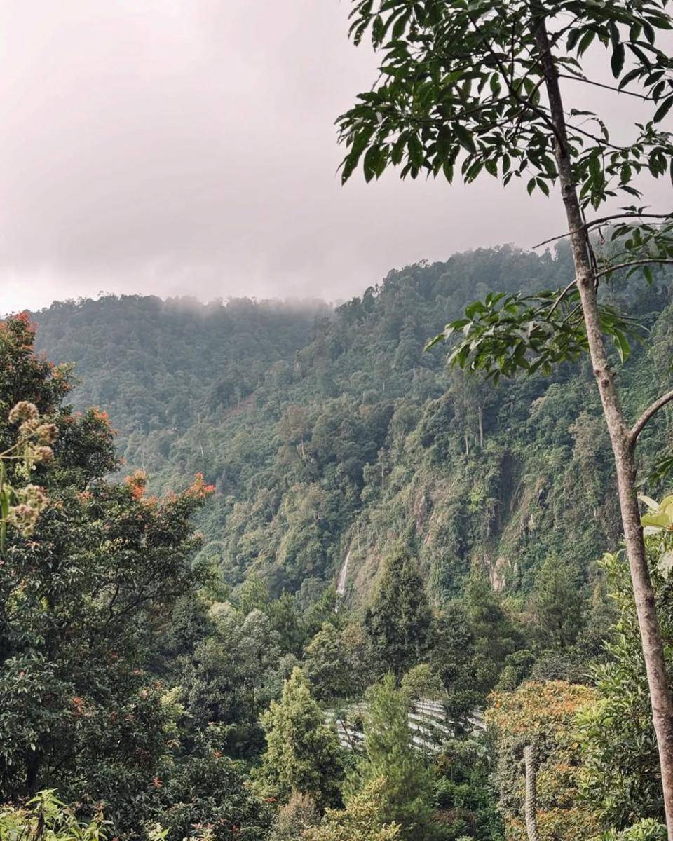 potrer view dari Gunung Halimun (instagram.com/yanpaww)