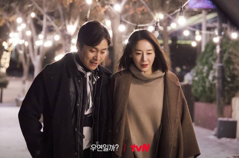 Choi Dae Chul dan Yoon Jung Hee di drama Serendipity's Embrace (Dok. tvN/Serendipity's Embrace)